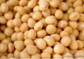 哪些食物富含维生素B？