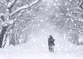 2021年的冬天，河南会连续出现大雪天气吗？