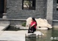 现在做Vlog领域晚了吗？