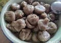 你认为【美食】的含义是什么？