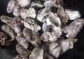补锌的食物有哪些？